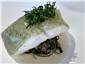 turbot